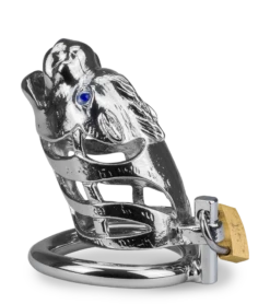 Cage à Pénis Astrologie Chinoise Dragon -Magasin De Jouets Sexuels cage a penis astrologie chinoise dragon 11