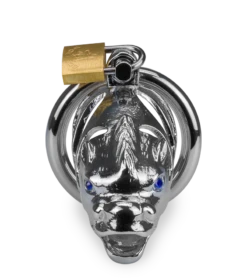 Cage à Pénis Astrologie Chinoise Dragon -Magasin De Jouets Sexuels cage a penis astrologie chinoise dragon 5