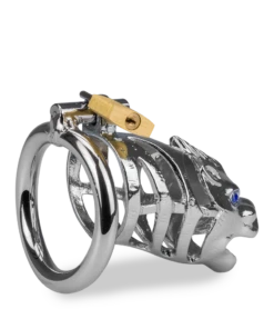 Cage à Pénis Astrologie Chinoise Dragon -Magasin De Jouets Sexuels cage a penis astrologie chinoise dragon 8