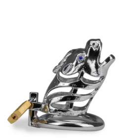 Cage à Pénis Astrologie Chinoise Dragon -Magasin De Jouets Sexuels cage a penis astrologie chinoise dragon 9