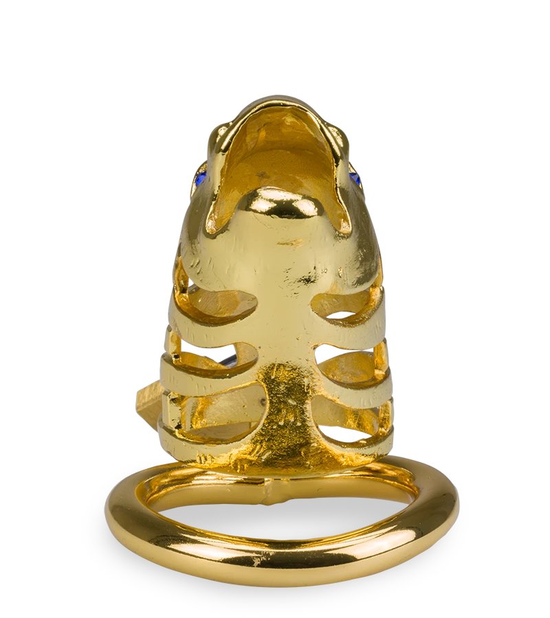 Cage à Pénis Astrologie Chinoise Dragon Doré 10 Cage à Pénis Astrologie Chinoise Dragon Doré – Image 8