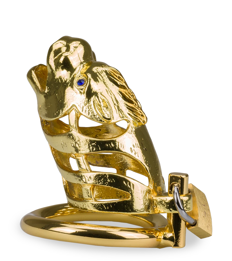 Cage à Pénis Astrologie Chinoise Dragon Doré 11 Cage à Pénis Astrologie Chinoise Dragon Doré – Image 9