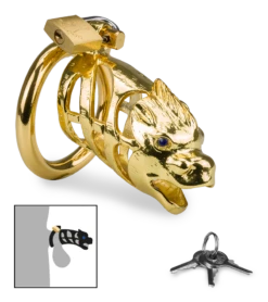 Cage à Pénis Astrologie Chinoise Dragon Doré