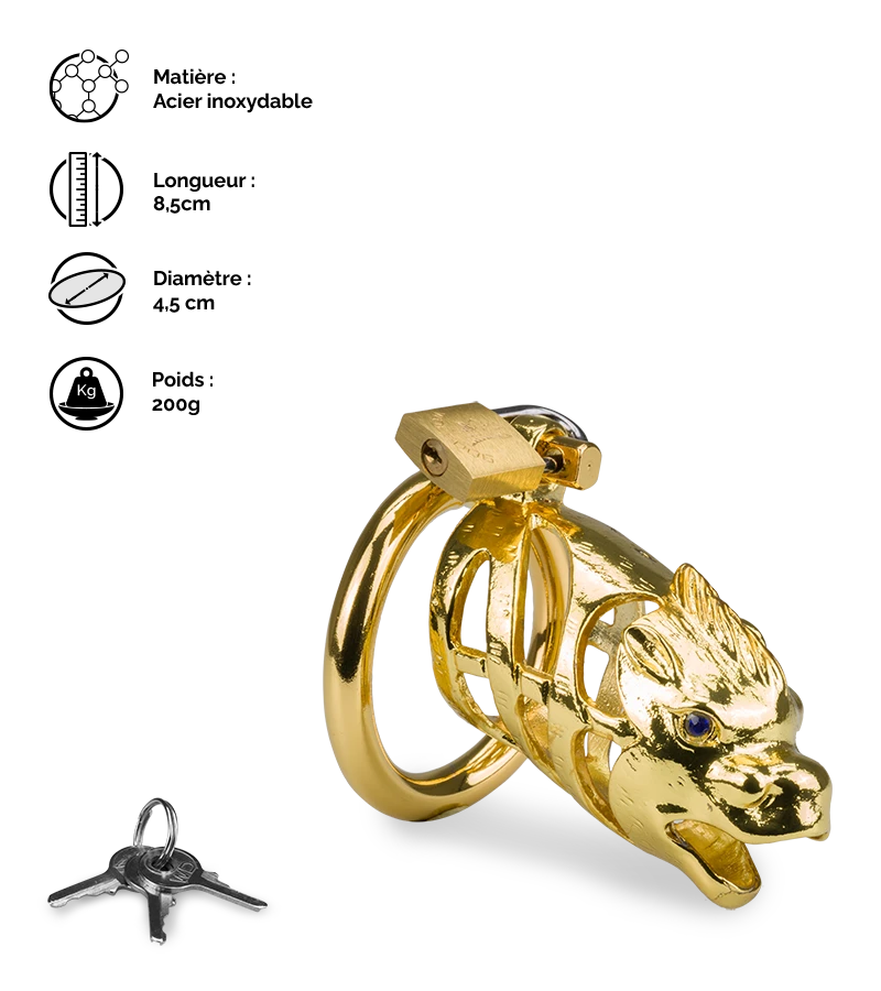 Cage à Pénis Astrologie Chinoise Dragon Doré 4 Cage à Pénis Astrologie Chinoise Dragon Doré – Image 2