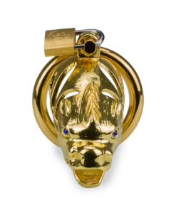 Cage à Pénis Astrologie Chinoise Dragon Doré 15 Cage à Pénis Astrologie Chinoise Dragon Doré -Magasin De Jouets Sexuels cage a penis astrologie chinoise dragon dore 5