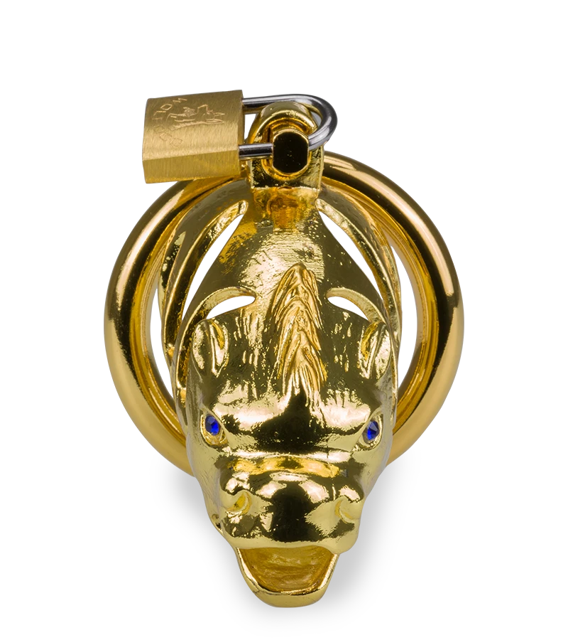 Cage à Pénis Astrologie Chinoise Dragon Doré 5 Cage à Pénis Astrologie Chinoise Dragon Doré – Image 3