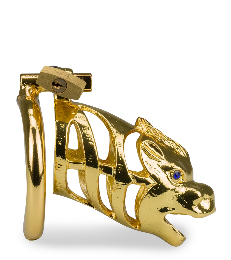 Cage à Pénis Astrologie Chinoise Dragon Doré 6 Cage à Pénis Astrologie Chinoise Dragon Doré – Image 4