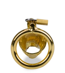 Cage à Pénis Astrologie Chinoise Dragon Doré 17 Cage à Pénis Astrologie Chinoise Dragon Doré -Magasin De Jouets Sexuels cage a penis astrologie chinoise dragon dore 7