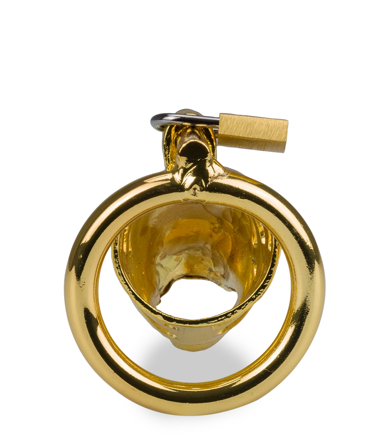 Cage à Pénis Astrologie Chinoise Dragon Doré 7 Cage à Pénis Astrologie Chinoise Dragon Doré – Image 5