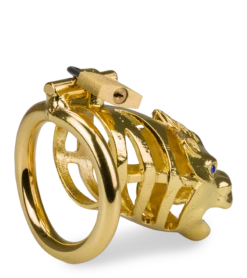 Cage à Pénis Astrologie Chinoise Dragon Doré 18 Cage à Pénis Astrologie Chinoise Dragon Doré -Magasin De Jouets Sexuels cage a penis astrologie chinoise dragon dore 8