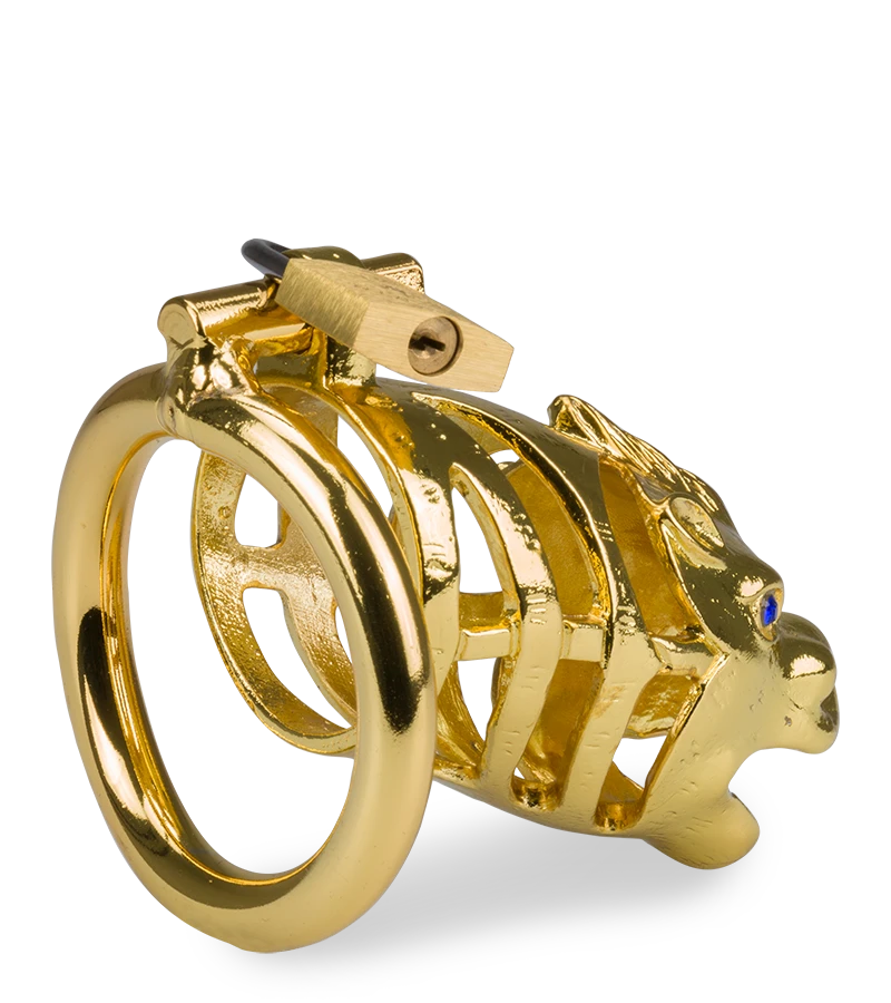 Cage à Pénis Astrologie Chinoise Dragon Doré 8 Cage à Pénis Astrologie Chinoise Dragon Doré – Image 6