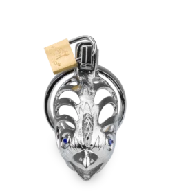 Cage De Chasteté Homme Astrologie Chinoise Coq -Magasin De Jouets Sexuels cage de chastete homme astrologie chinoise coq 5