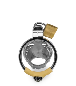 Cage De Chasteté Homme Astrologie Chinoise Coq -Magasin De Jouets Sexuels cage de chastete homme astrologie chinoise coq 7