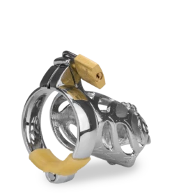 Cage De Chasteté Homme Astrologie Chinoise Coq -Magasin De Jouets Sexuels cage de chastete homme astrologie chinoise coq 8