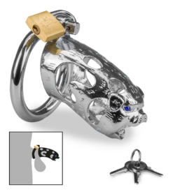 Cage De Chasteté Pénis Astrologie Chinoise Cochon