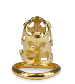 Cage De Chasteté Pénis Astrologie Chinoise Cochon Doré 18 Cage De Chasteté Pénis Astrologie Chinoise Cochon Doré -Magasin De Jouets Sexuels cage de chastete penis astrologie chinoise cochon dore 10