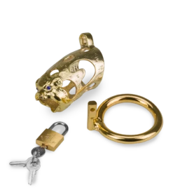 Cage De Chasteté Pénis Astrologie Chinoise Cochon Doré 19 Cage De Chasteté Pénis Astrologie Chinoise Cochon Doré -Magasin De Jouets Sexuels cage de chastete penis astrologie chinoise cochon dore 11