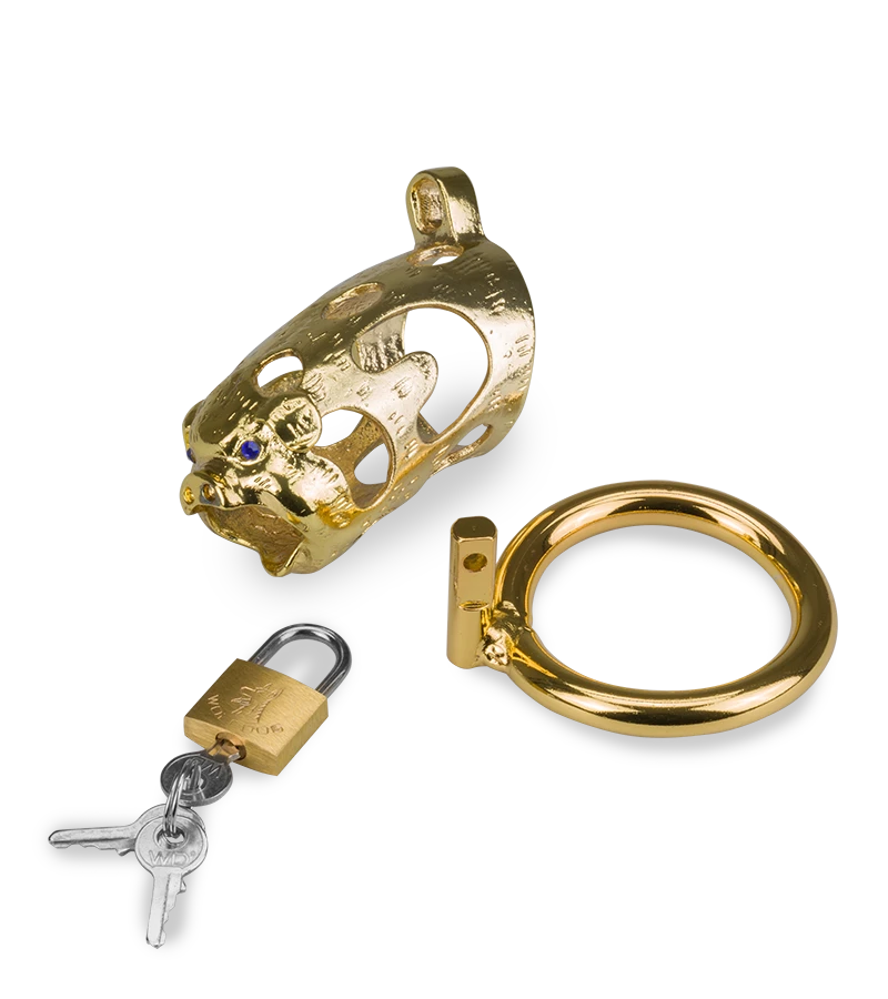 Cage De Chasteté Pénis Astrologie Chinoise Cochon Doré 11 Cage De Chasteté Pénis Astrologie Chinoise Cochon Doré – Image 9