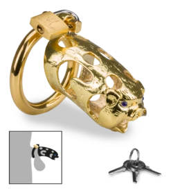 Cage De Chasteté Pénis Astrologie Chinoise Cochon Doré
