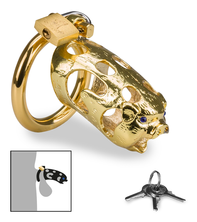 Cage De Chasteté Pénis Astrologie Chinoise Cochon Doré 3 Cage De Chasteté Pénis Astrologie Chinoise Cochon Doré