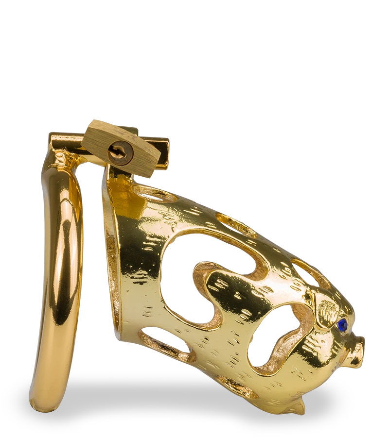 Cage De Chasteté Pénis Astrologie Chinoise Cochon Doré 6 Cage De Chasteté Pénis Astrologie Chinoise Cochon Doré – Image 4