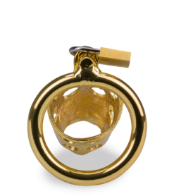 Cage De Chasteté Pénis Astrologie Chinoise Cochon Doré 15 Cage De Chasteté Pénis Astrologie Chinoise Cochon Doré -Magasin De Jouets Sexuels cage de chastete penis astrologie chinoise cochon dore 7