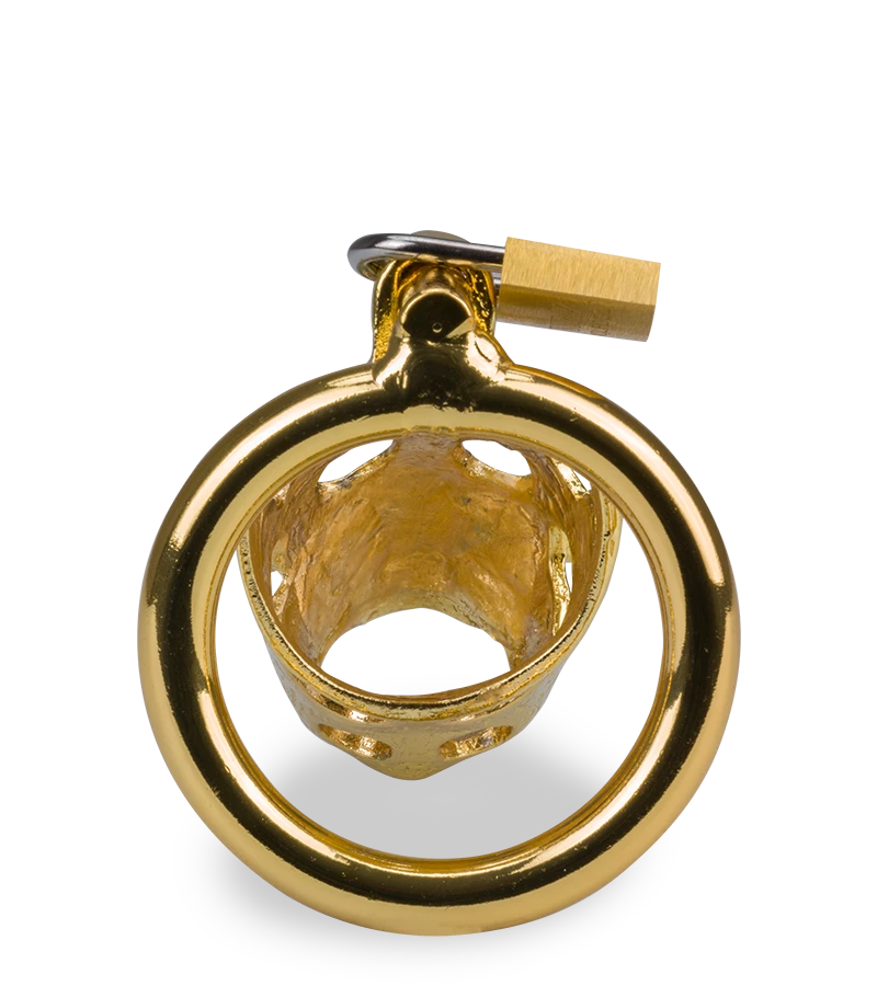 Cage De Chasteté Pénis Astrologie Chinoise Cochon Doré 7 Cage De Chasteté Pénis Astrologie Chinoise Cochon Doré – Image 5