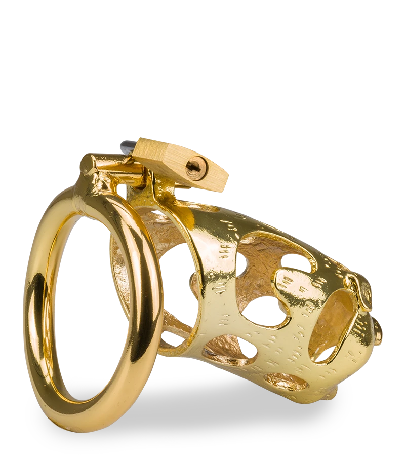 Cage De Chasteté Pénis Astrologie Chinoise Cochon Doré 8 Cage De Chasteté Pénis Astrologie Chinoise Cochon Doré – Image 6