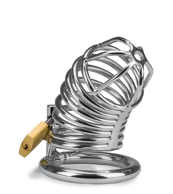 Cage De Chasteté Pénis Captive 22 Cage De Chasteté Pénis Captive -Magasin De Jouets Sexuels cage de chastete penis captive 12