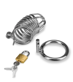 Cage De Chasteté Pénis Captive 23 Cage De Chasteté Pénis Captive -Magasin De Jouets Sexuels cage de chastete penis captive 13