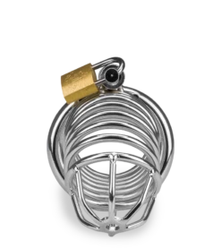 Cage De Chasteté Pénis Captive 15 Cage De Chasteté Pénis Captive -Magasin De Jouets Sexuels cage de chastete penis captive 5