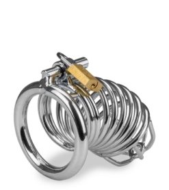 Cage De Chasteté Pénis Captive 18 Cage De Chasteté Pénis Captive -Magasin De Jouets Sexuels cage de chastete penis captive 8