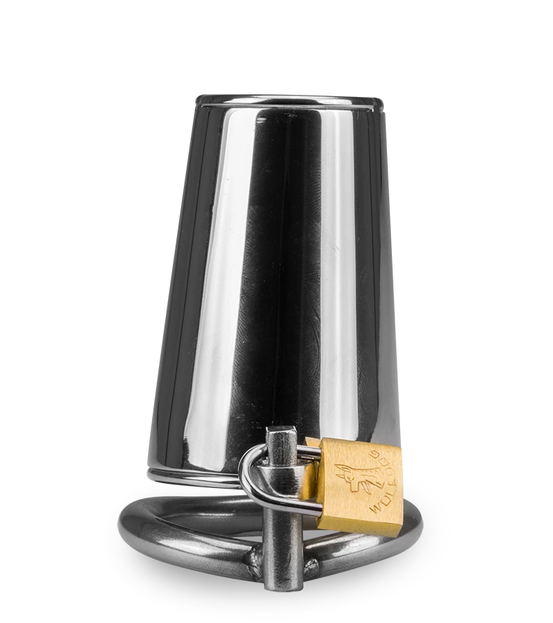 Cage De Chasteté Pénis Domina 10 Cage De Chasteté Pénis Domina – Image 8