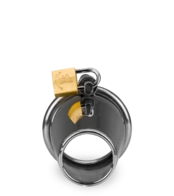 Cage De Chasteté Pénis Domina 13 Cage De Chasteté Pénis Domina -Magasin De Jouets Sexuels cage de chastete penis domina 5