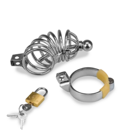 Cage De Chasteté Pénis Et Plug D'urètre Guantanamo -Magasin De Jouets Sexuels cage de chastete penis et plug d uretre guantanamo 13