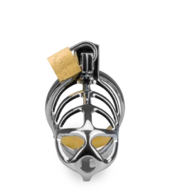 Cage De Chasteté Pénis Grids -Magasin De Jouets Sexuels cage de chastete penis grids 16