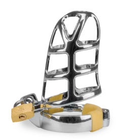 Cage De Chasteté Pénis Grids -Magasin De Jouets Sexuels cage de chastete penis grids 9