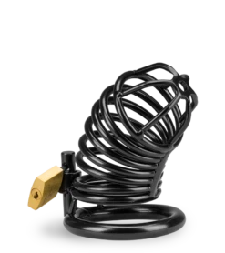 Cage De Chasteté Pénis Little Prisoner 18 Cage De Chasteté Pénis Little Prisoner -Magasin De Jouets Sexuels cage de chastete penis little prisoner 10