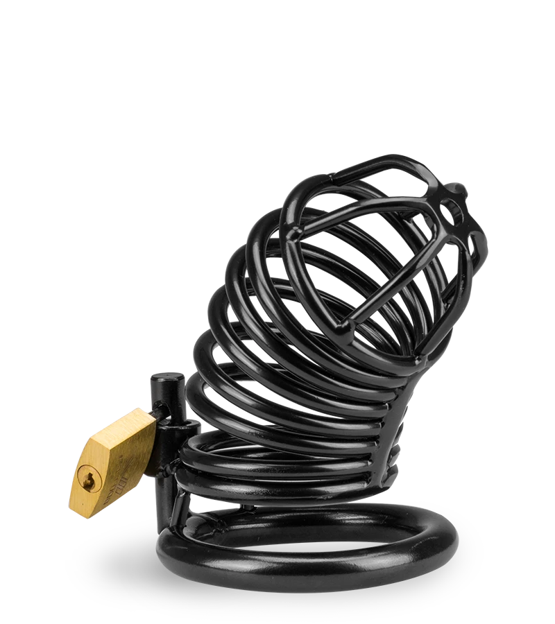 Cage De Chasteté Pénis Little Prisoner 10 Cage De Chasteté Pénis Little Prisoner – Image 8