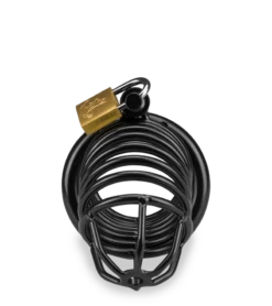 Cage De Chasteté Pénis Little Prisoner 13 Cage De Chasteté Pénis Little Prisoner -Magasin De Jouets Sexuels cage de chastete penis little prisoner 5