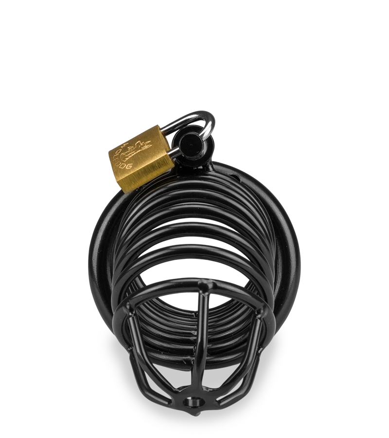 Cage De Chasteté Pénis Little Prisoner 5 Cage De Chasteté Pénis Little Prisoner – Image 3