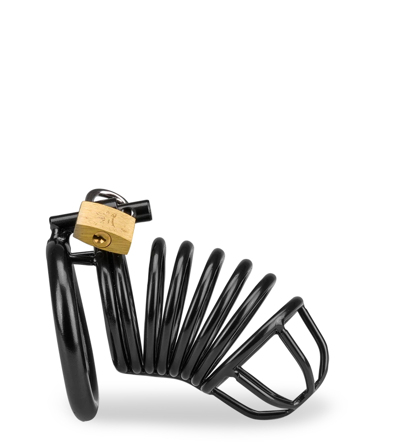 Cage De Chasteté Pénis Little Prisoner 6 Cage De Chasteté Pénis Little Prisoner – Image 4