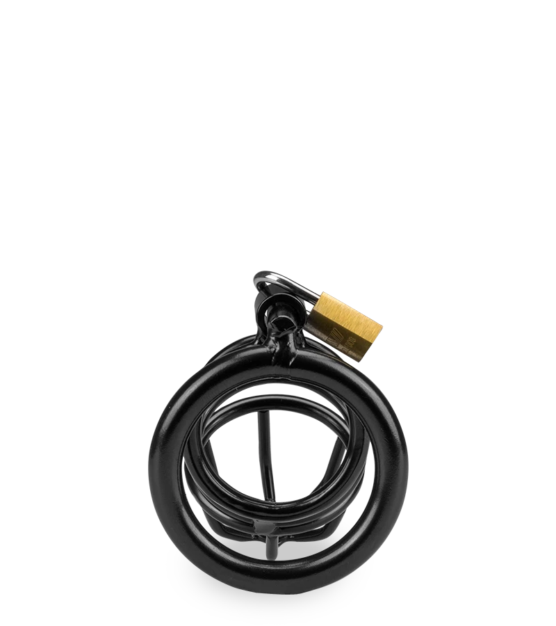 Cage De Chasteté Pénis Little Prisoner 7 Cage De Chasteté Pénis Little Prisoner – Image 5