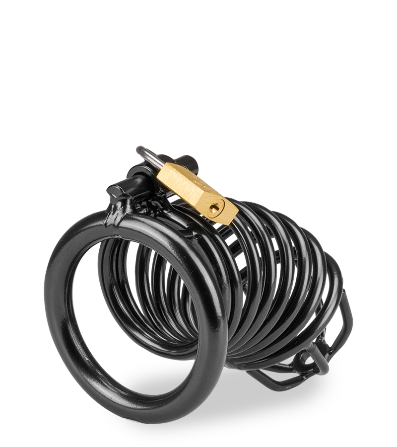 Cage De Chasteté Pénis Little Prisoner 8 Cage De Chasteté Pénis Little Prisoner – Image 6