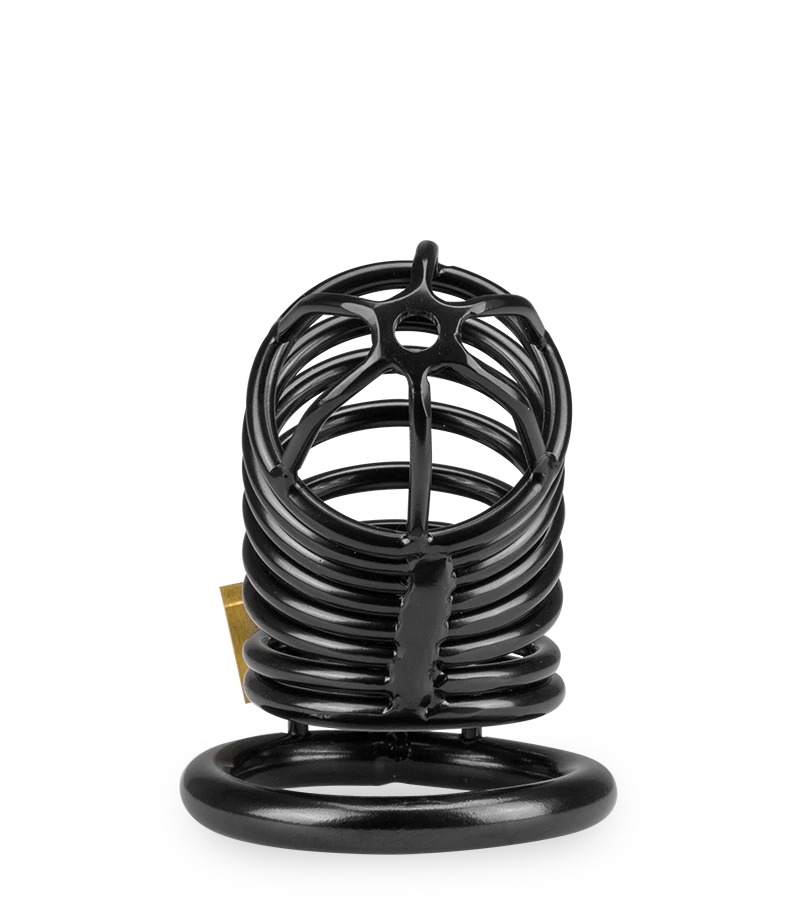 Cage De Chasteté Pénis Little Prisoner 9 Cage De Chasteté Pénis Little Prisoner – Image 7