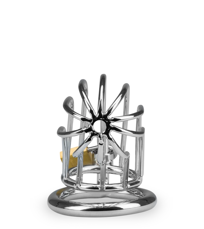 Cage De Chasteté Pénis Sentence 10 Cage De Chasteté Pénis Sentence – Image 8