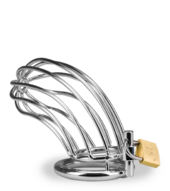 Cage De Chasteté Pénis Sentence 21 Cage De Chasteté Pénis Sentence -Magasin De Jouets Sexuels cage de chastete penis sentence 11