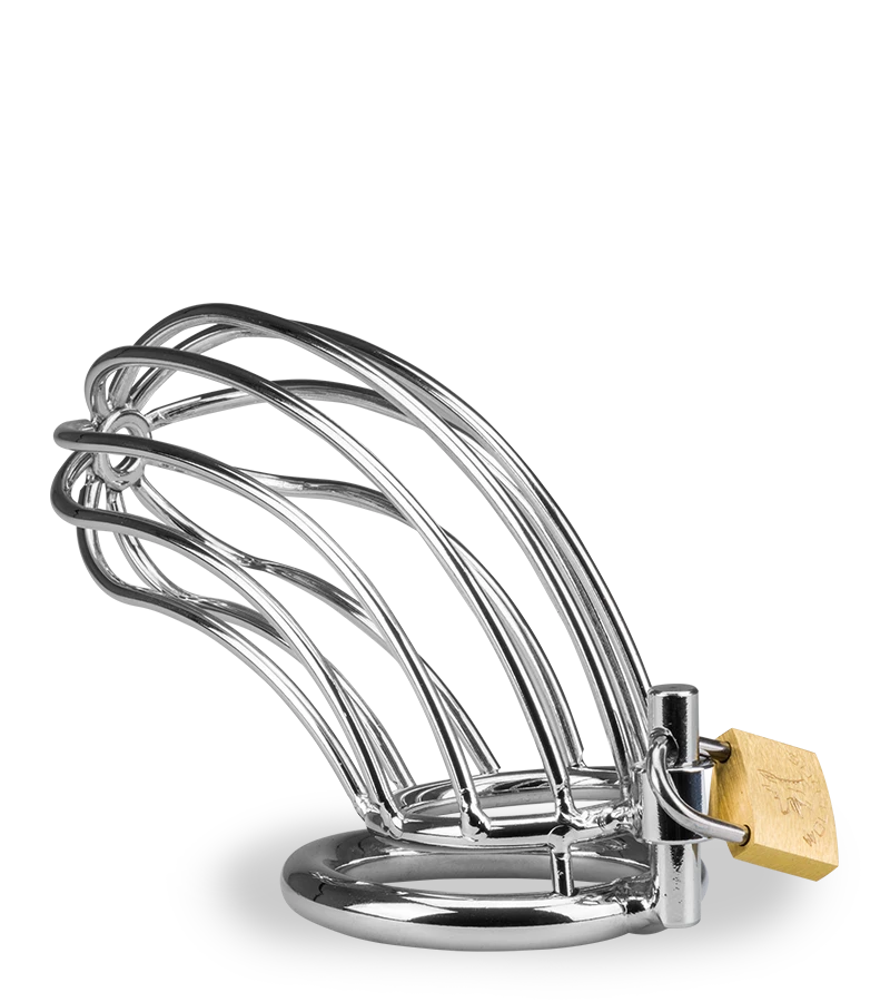 Cage De Chasteté Pénis Sentence 11 Cage De Chasteté Pénis Sentence – Image 9