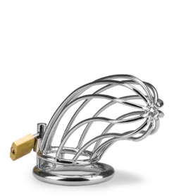 Cage De Chasteté Pénis Sentence 22 Cage De Chasteté Pénis Sentence -Magasin De Jouets Sexuels cage de chastete penis sentence 12