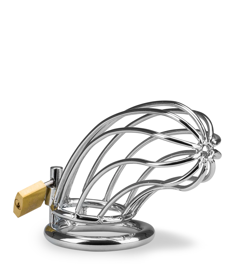 Cage De Chasteté Pénis Sentence 12 Cage De Chasteté Pénis Sentence – Image 10